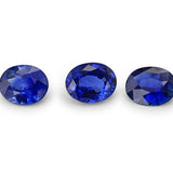 Oval Shape Sapphire