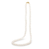 Pearl necklace strand with 9kt Gold clasp Harry and Co Jewellery Adelaide