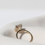 Assher Diamond with Hidden Halo