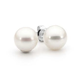 Freshwater Pearl Studs