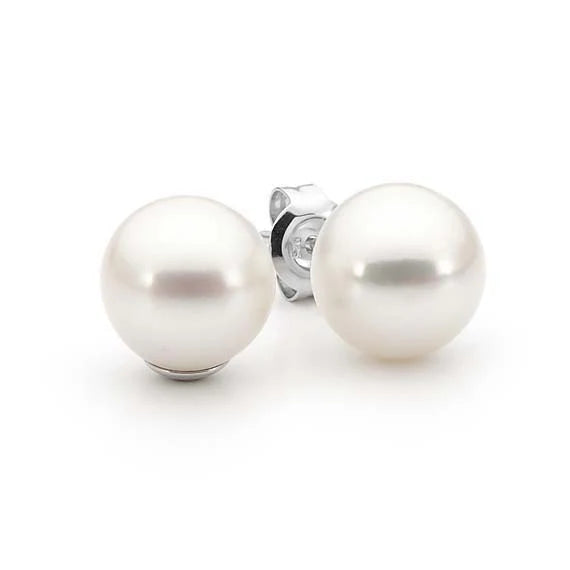 Freshwater Pearl Studs