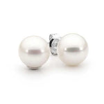 Pearl Stud earrings 