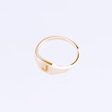 Signet Ring in 9kt yellow gold 
