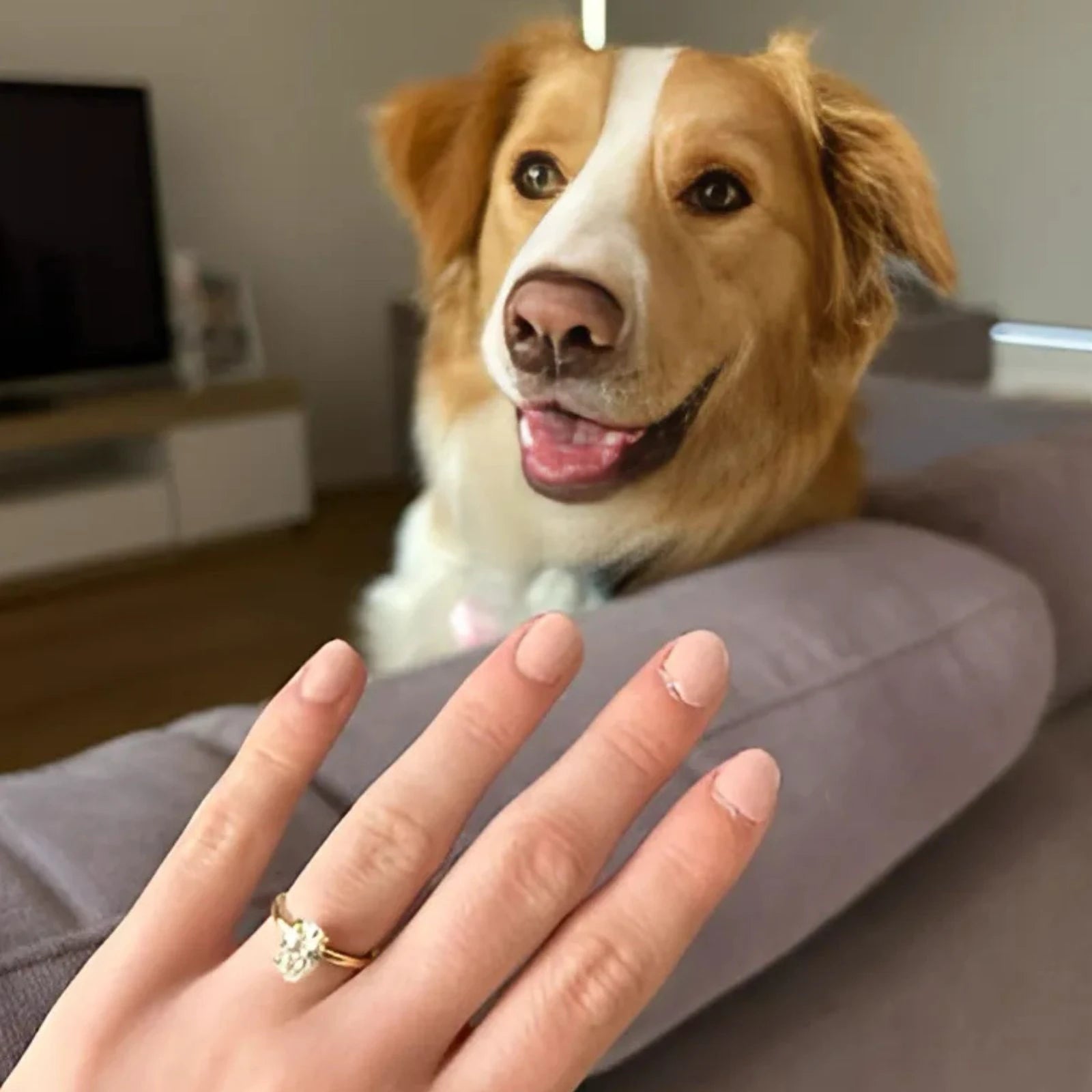 Custom oval diamond solitaire engagement ring designed by Mena at Harry & Co Adelaide